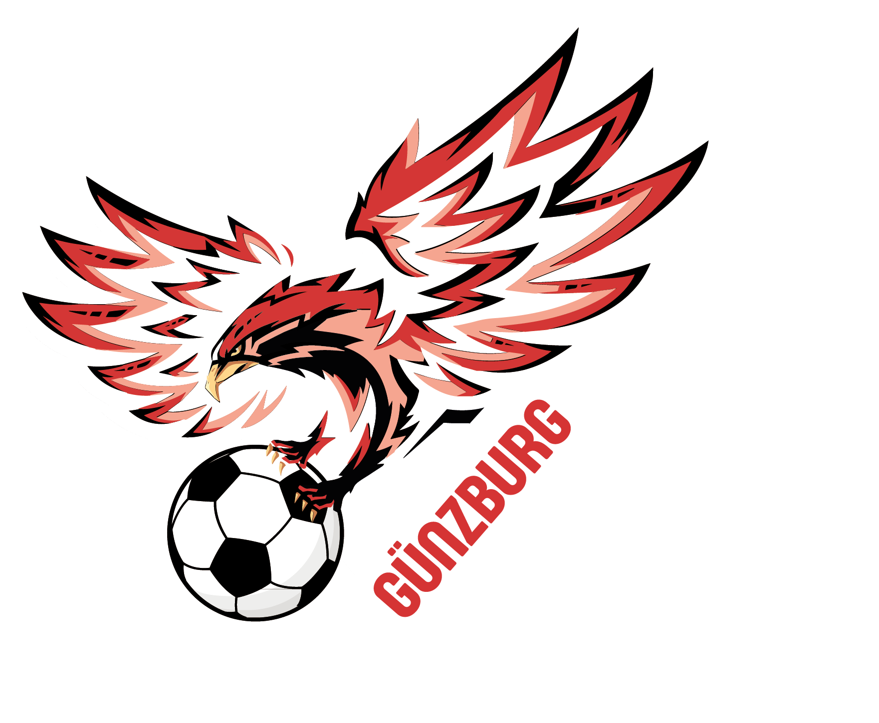 Jungadler Günzburg e.V.
